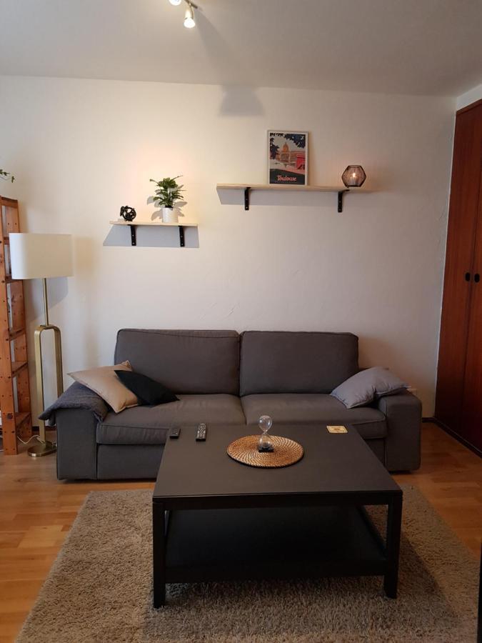 Superbe Appartement En Residence Avec Parking Toulouse Buitenkant foto